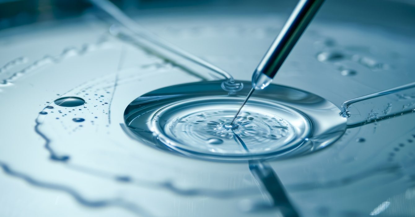 Ivf laboratory concept featuring petri dish, pipette, and soft bokeh lights in minimalist scene. Ivf laboratory concept featuring petri dish, pipette, and soft bokeh lights in minimalist scene.